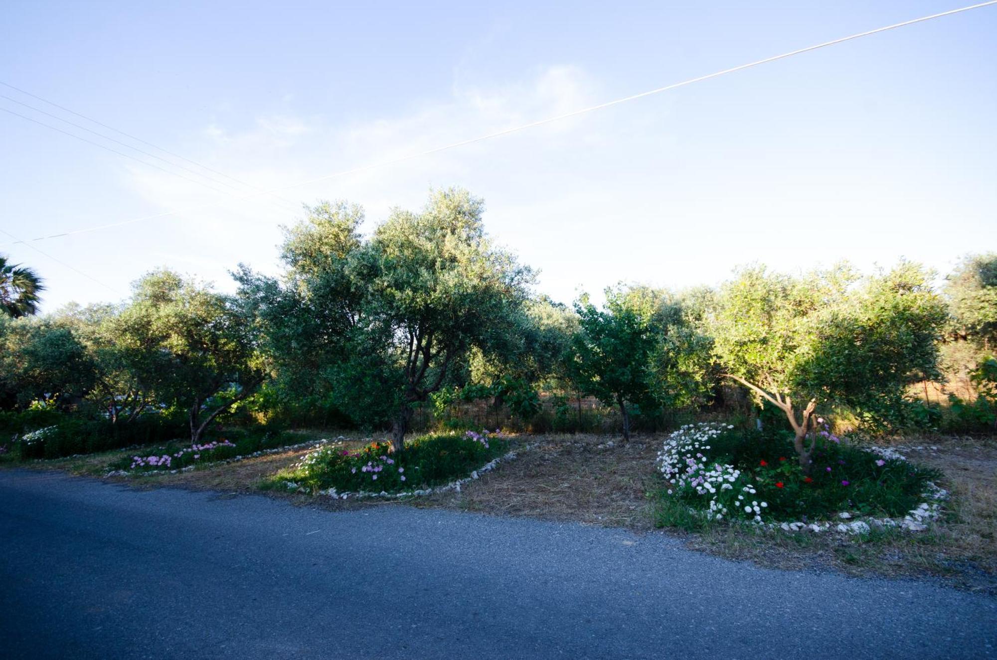 Village Drapanias