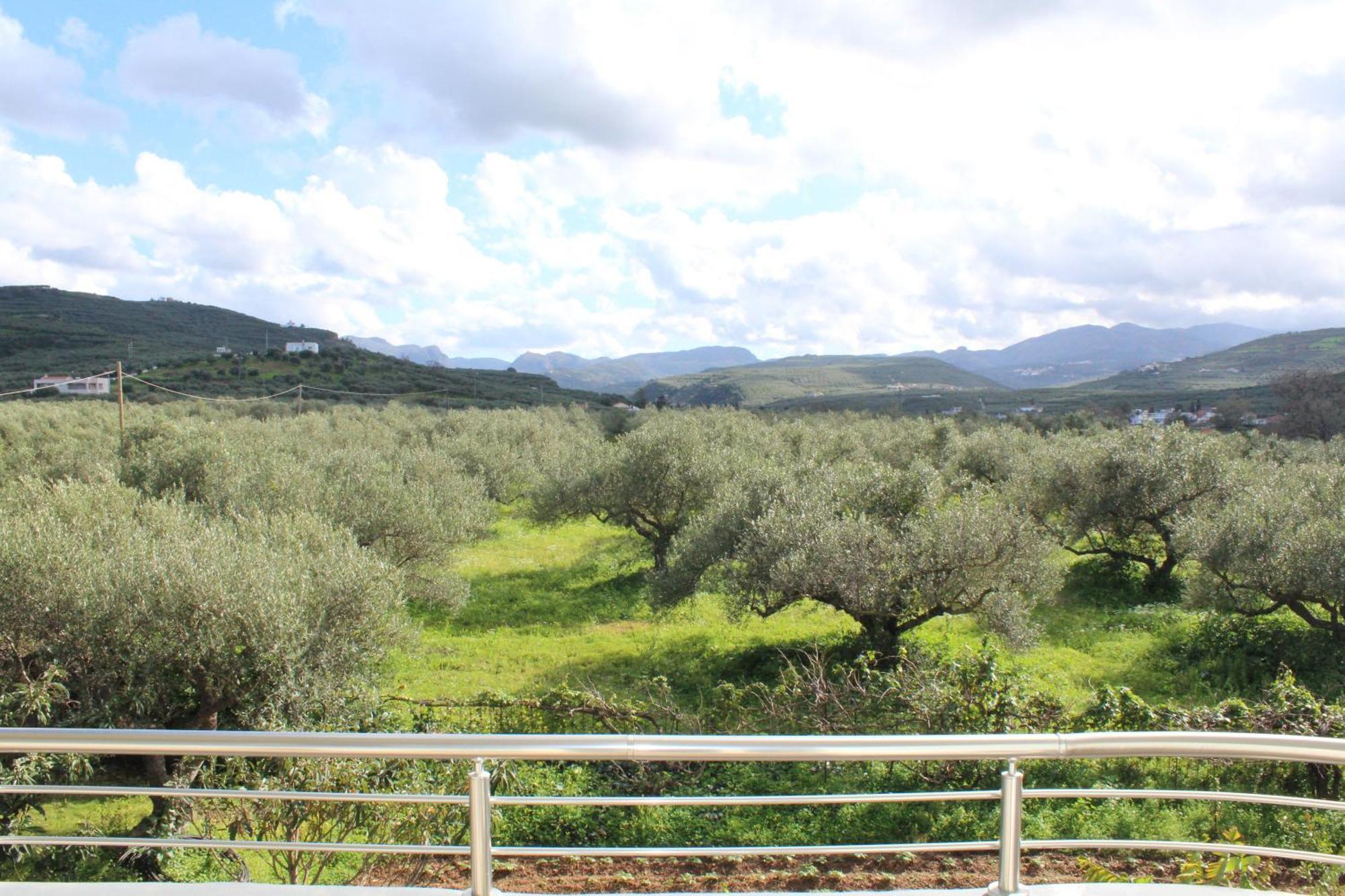 Daire Village Drapanias