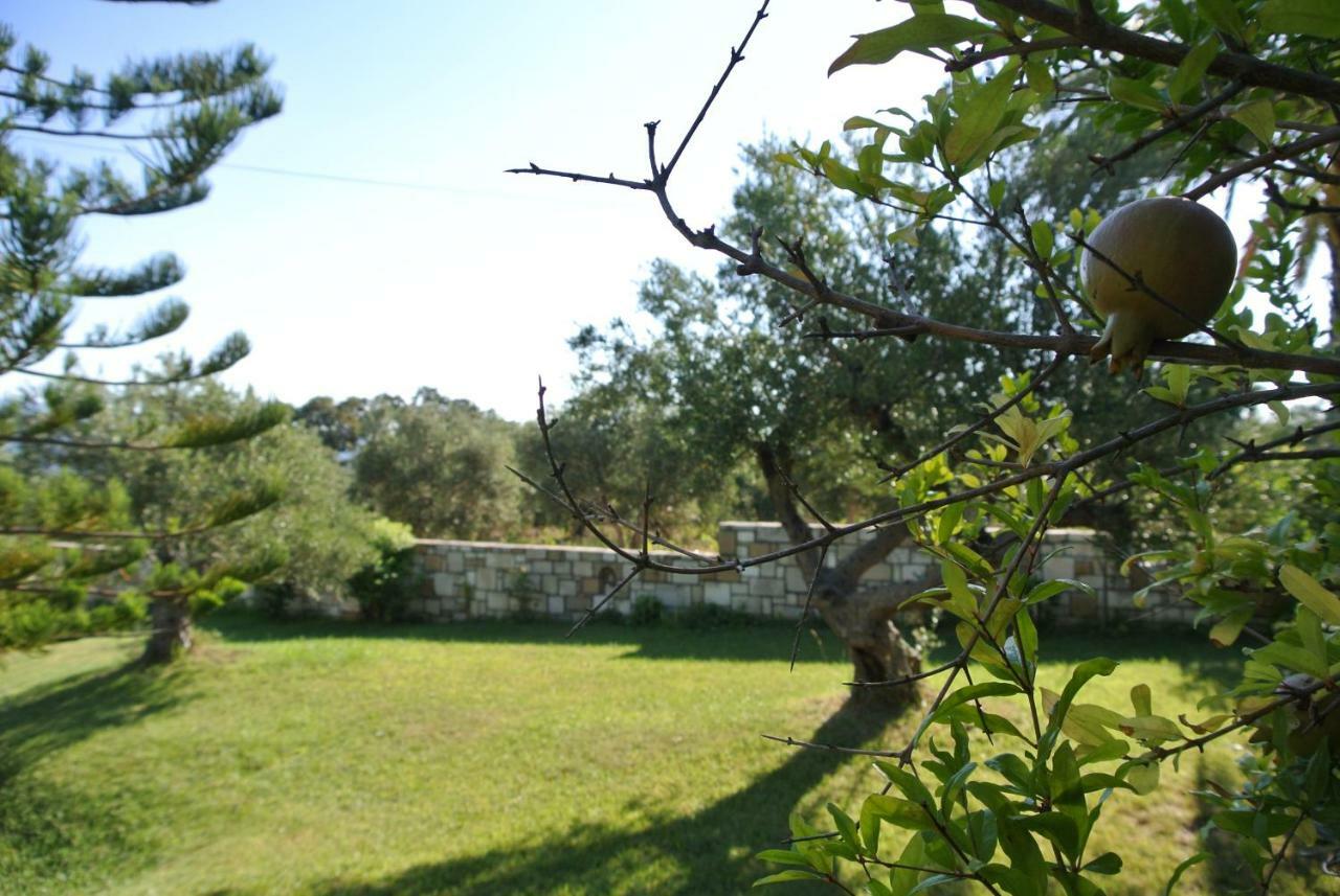 Daire Village Drapanias *